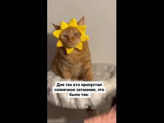 Доброе утро.mp4