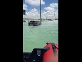 Dubai cops rescue stranded cat amid record rain and massive flooding across the UAE