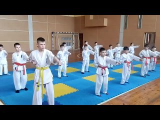 Видео от КиокушинРю каратэ-до в Витебске и Витебской обл