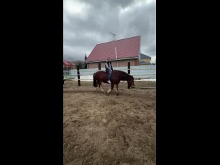 Видео от Конный двор «Патрушева» | Прогулки на лошадях