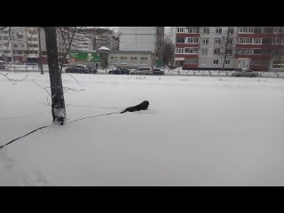 Видео от Александра Иванова