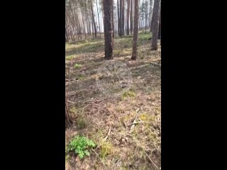 ❤️ Тушение лесного пожара после зажигательного снаряда противника😂

Группа Аида СпН “Ахмат“❤️.