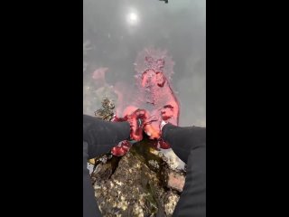 Octopus takes an interest in a human sitting by the rocks