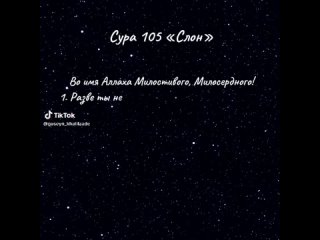 Сура 105 «Слон»