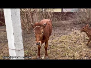 МЧС России увеличивает группировку в районах, наиболее подверженных подтоплению из-за весеннего паводка