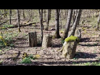 Видео 55 (часть 2) - Каменные грибы и древние окаменелости (Новый)