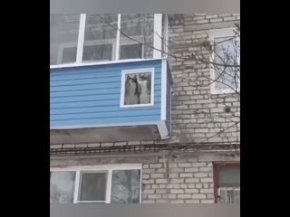 Отборное видео, лучшие приколы, юмор и не только