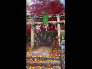 Осень в храме Кувата в Киото