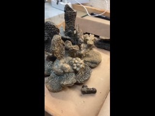Первая работа по воссозданию рифа, моего ученика Максима Симонова