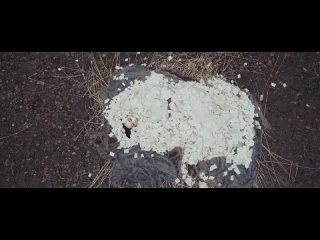 DIANNE ft Arjen Lucassen - A Symphonic Tragedy (Official Music Video)