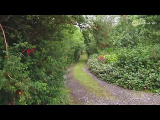Ирландское чудо! Создание пермакультурного лесосада за 13 лет