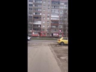 Видео от Пан Тюльпан/Доставка цветов Ярославль