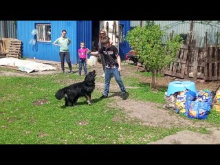 Видео от  КОТ и ПЁС  АНО БРОД ПББЖ