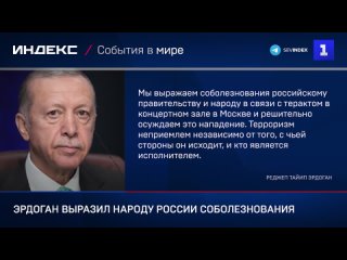 Эрдоган выразил народу России соболезнования