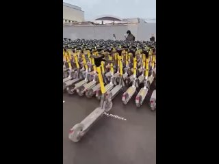 Армия самокатов у метро Дыбенко
