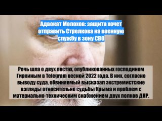 Адвокат Молохов: защита хочет отправить Стрелкова на военную службу в зону СВО