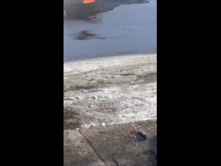 В Ноябрьске во дворе дома сгорел BMW