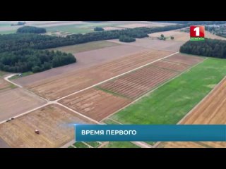 Экспериментальное поле Лукашенко: что известно