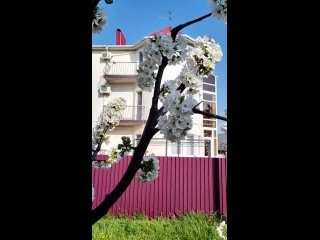 Відео від Гостевой дом Розовый Сад. Анапа. Джемете