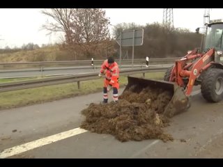 💬 Огромная двухметровая куча фекалий появилась на трассе в Германии

Фермеры в ФРГ заблокировали трассу двухметровой горой навоз