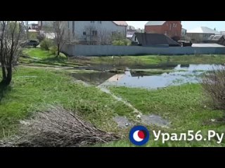 Оренбург, пос. Кушкуль