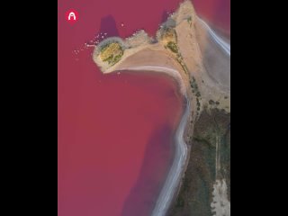 Озеро Кояшское, скалы-корабли, старинные катакомбы, полные летучих мышей, ущелье розовых скворцов, античный город Киммерик