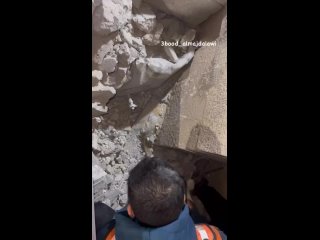 Equipos de Defensa Civil rescatan a un gato de debajo de los escombros de una casa bombardeada por la ocupación