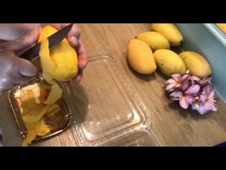 Мороженное из манго. Экспериментируем в Тайланде ( апрель 2024.Лара Халина )
