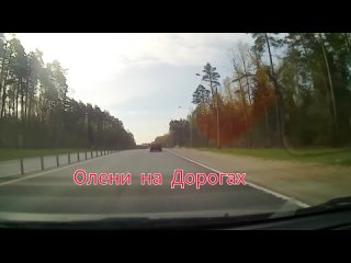 Видео от Полотняный завод, Кондрово, Дзержинский район