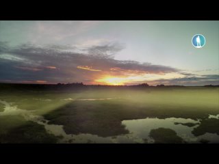 Kайман и роковое болото (2017) HD 1080