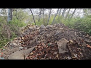 После сообщений в социальных сетях, что около берега реки Черная неизвестные устроили свалку строительного мусора,  сотрудники д