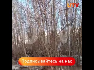 В Кушнаренковском районе Башкирии из-за половодья огромная куча снега сошла с холма и перекрыла дорогу между деревней Киренево и