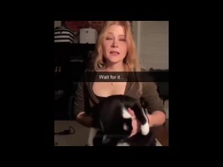 Попробуй не засмеяться - Кошки и собаки - самые смешные видео 2024