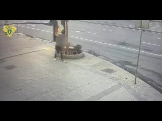 Парень, едва стоящий на ногах, напал на двух женщин на Садовой-Кудринской, прямо в центре.