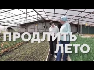 Популярный блогер-фермер из Апастово продает зелень и овощи на миллионы