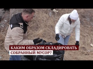 Субботники по санитарной очистке территорий. Безопасный труд