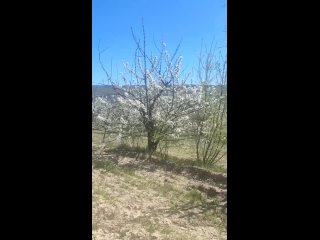 Video by Отель “Седьмое небо“ /Крым, Алушта, посёлок Утëс