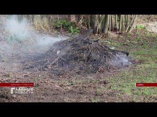 На орловских дачников уже составлены первые протоколы за сжигание мусора