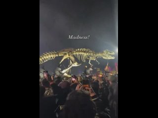 14/04/24 @ Коачелла/Coachella, Неделя 1 - День 3 (сет Doja Cat)