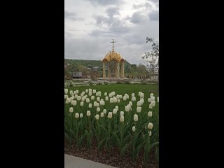 Видео от Александры Фильчевой