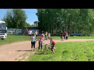 Video by Катание на Хаски Северное сияние Костромы