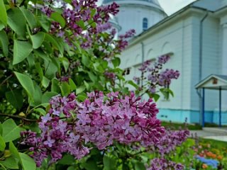 Мелодия, рассказ, читает автор священник Александр Дьяченко (Брагар)