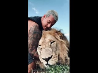 Big boy Leo🦁.mp4