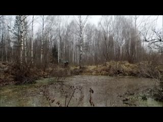 Альберт Асадуллин. Дорога без конца. Видеоклип(360P).mp4