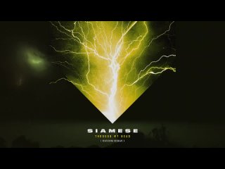 Siamese - Through My Head (snippet)