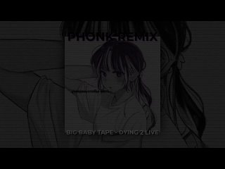 Big Baby Tape - Dying 2 live  (Idonzzz Phonk Remix)
