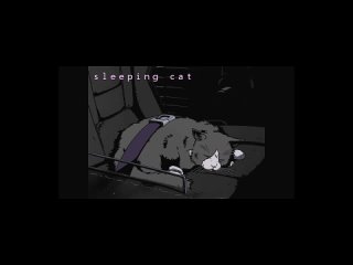 Sleeping cat - sad  lofi  hip hop [In memory of my cat]