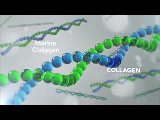 Marine Collagen — природный морской коллаген от NL International