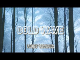 MORT SHYBUR - COLD WAVE / BEAT FOR SALE / COLDWAVE / DARKWAVE / LEBANON HANOVER