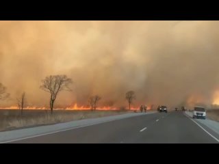 Видео от Забайкальское краевое отделение ВДПО